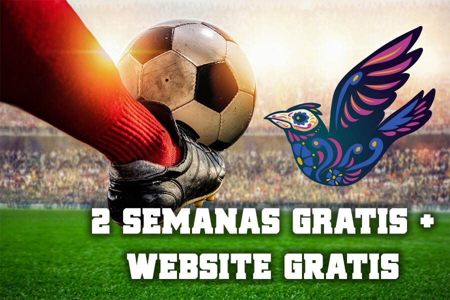 sitio web gratuito + deposito del 100%